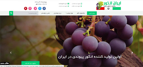طراحی سایت ایران انگور